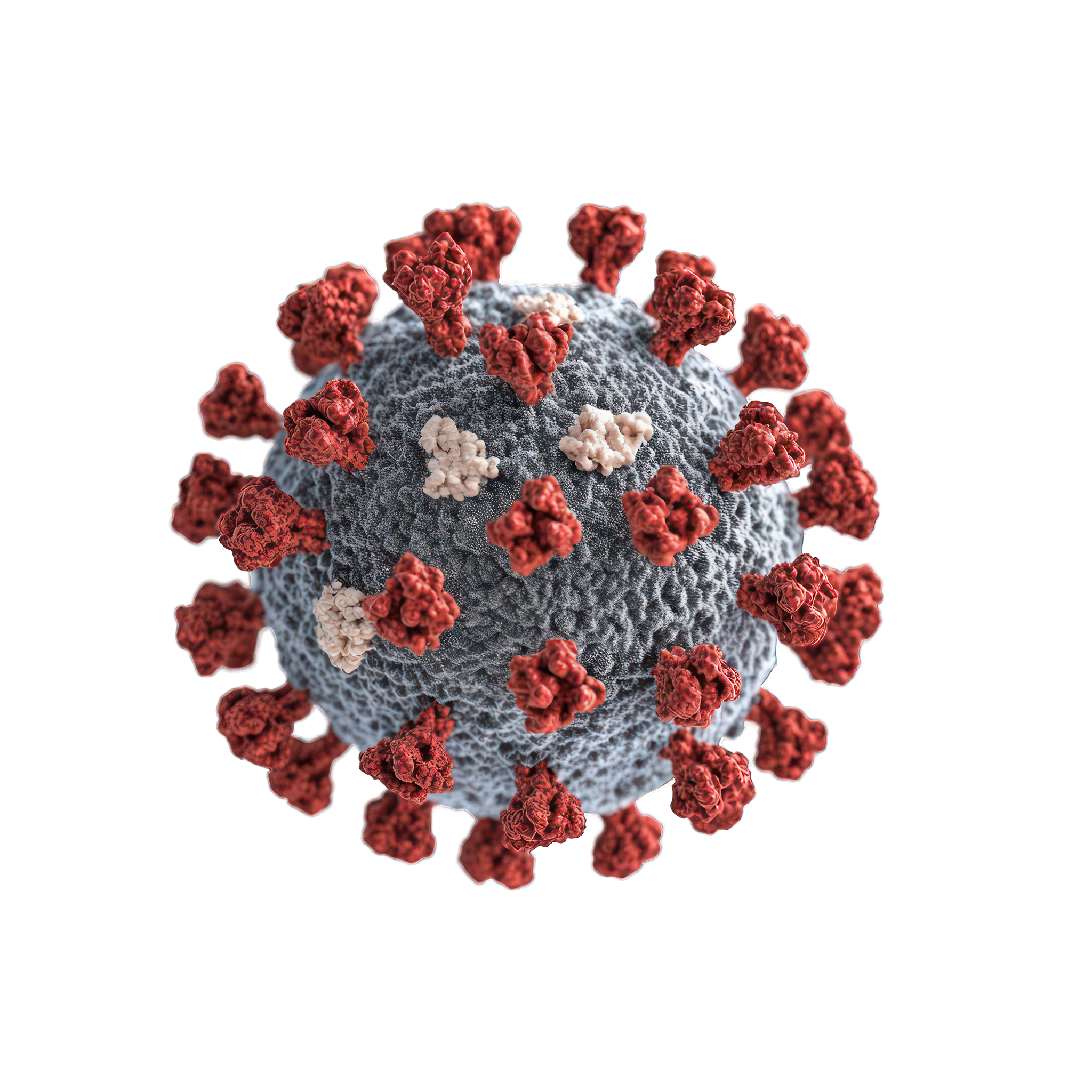 Covid 19 Virus Clear Picture 1