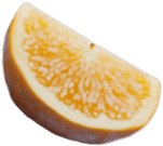 Orange4