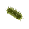 Cab2c47d9c1ec5bea9da4dfd664cb87e