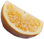 Feae94b94c9137287424e8bb9bd3d7b4